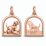 DachyCharm First Steps – Crossing the Threshold Charm Bracelet