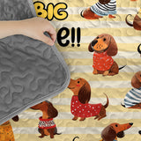 DachyCharm Big Attitude Quilt 3-Piece Set