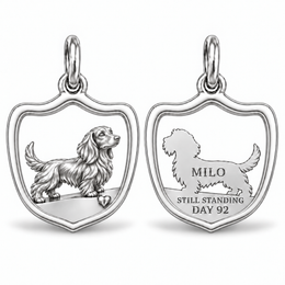 Long Hair dachshund charm