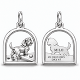 DachyCharm First Steps – Crossing the Threshold Charm Bracelet