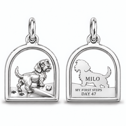 Wire Hair dachshund charm