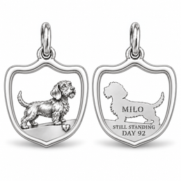 Wire Hair dachshund charm