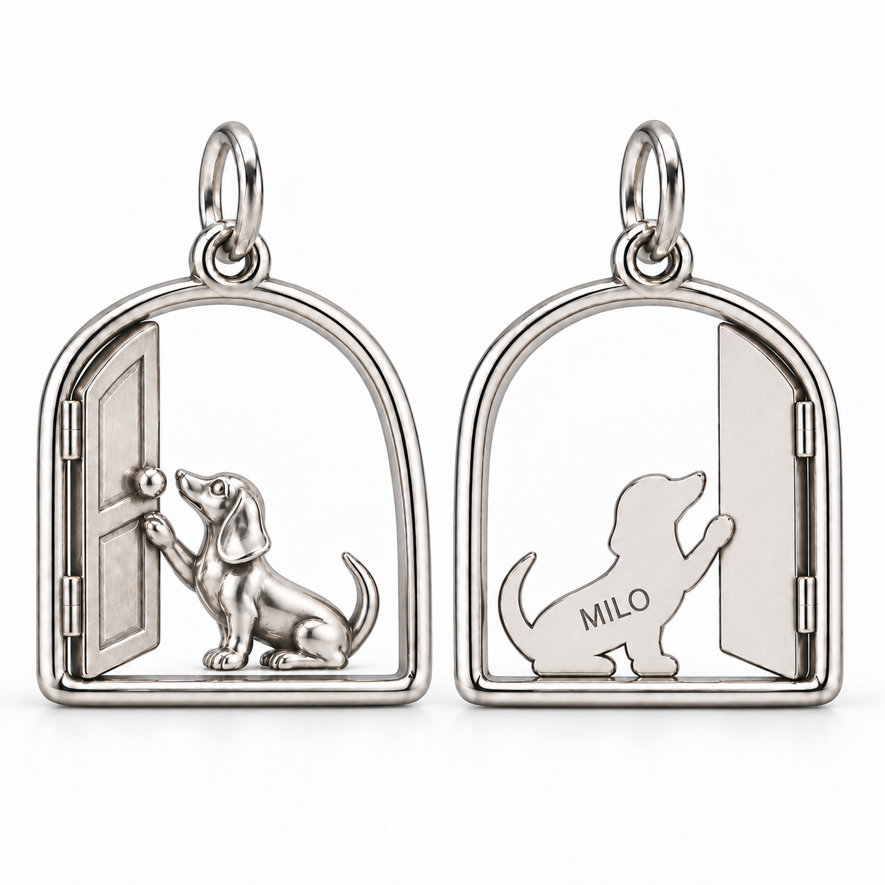 silver--smooth-hair--one-paw-knock