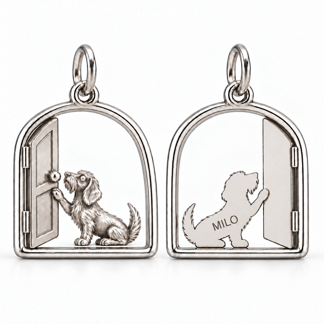 silver--wire-hair--one-paw-knock