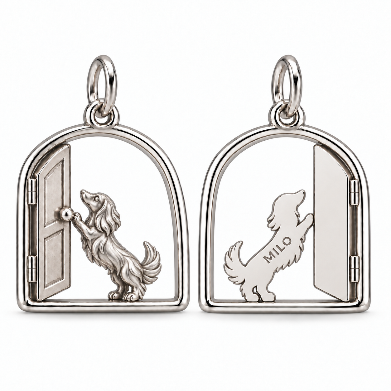 silver--long-hair--two-paws-reach