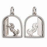silver--long-hair--two-paws-reach