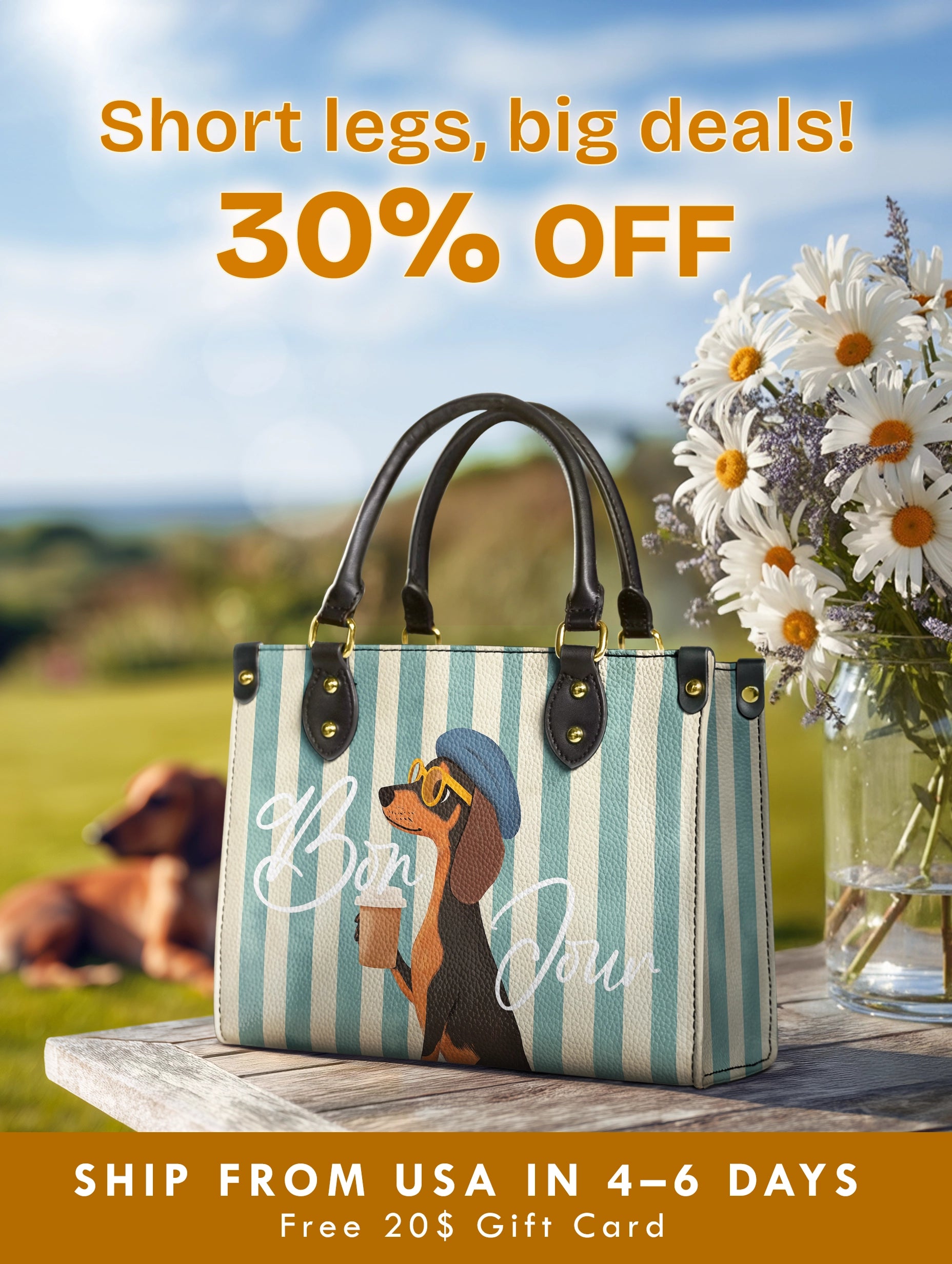 DachyCharm Say Bonjour Leather Bag