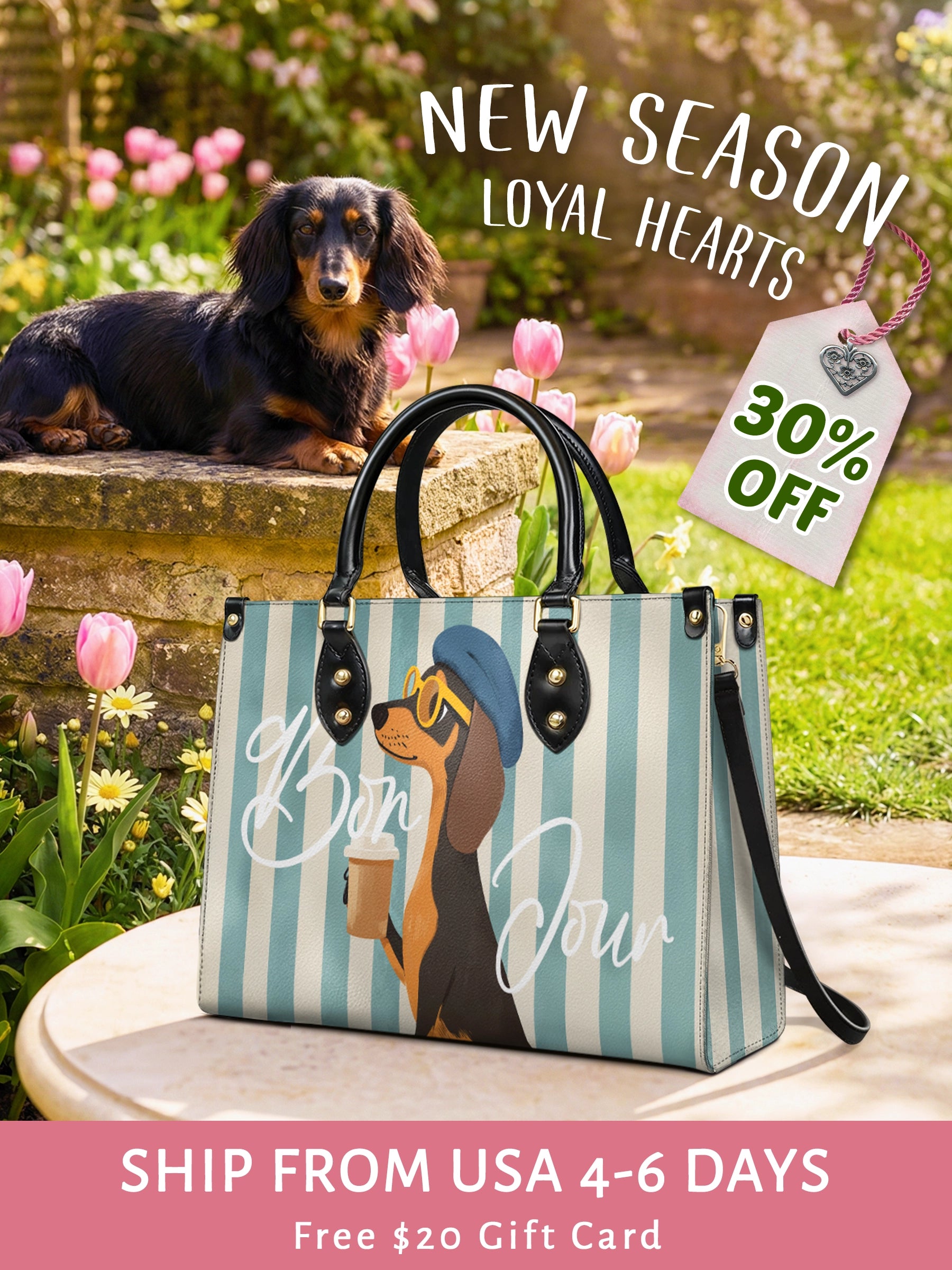 DachyCharm Say Bonjour Leather Bag