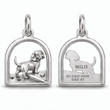 DachyCharm First Steps – Crossing the Threshold Charm Bracelet