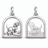 DachyCharm First Steps – Crossing the Threshold Charm Bracelet